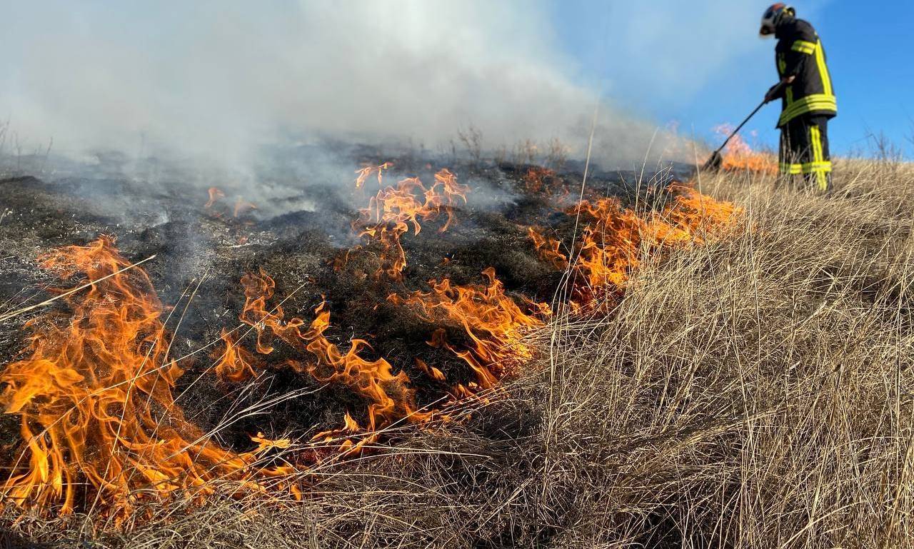 На Одещині горів степ: пожеж в екосистемах буде більше «фото»