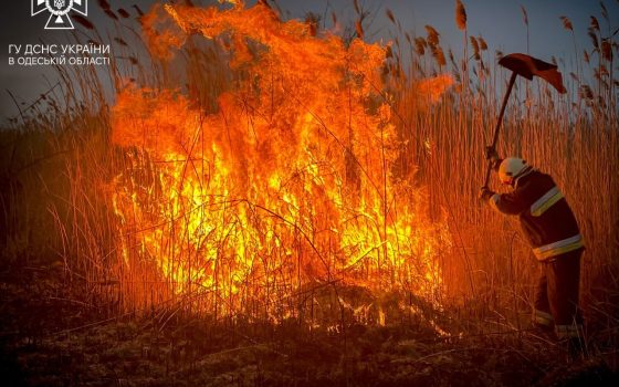 В Одесі сталася велика пожежа в екосистемі (фото, відео) «фото»