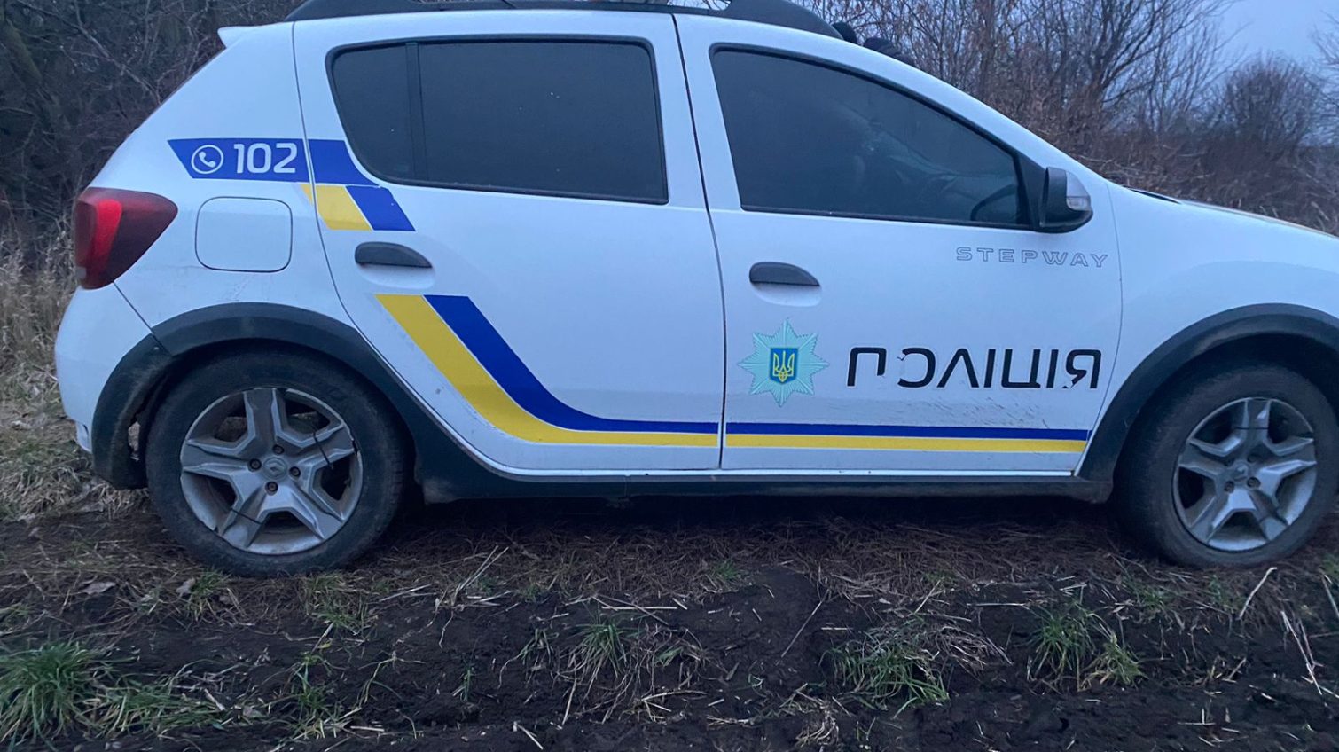 На Одещині «чорний лісоруб» пропонував поліції хабар (фото) «фото»