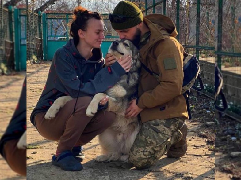 Історія порятунку: одеський військовий прихистив собаку, якого врятував (фото) «фото»