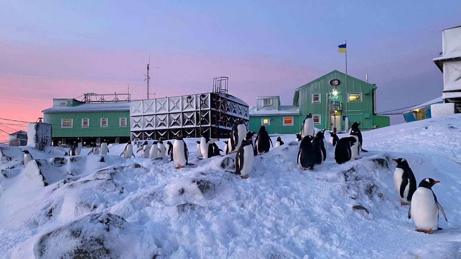 Стало відомо хто очолить 28-му Українську антарктичну експедицію – це капітан-прикордонник (фото, відео) «фото»