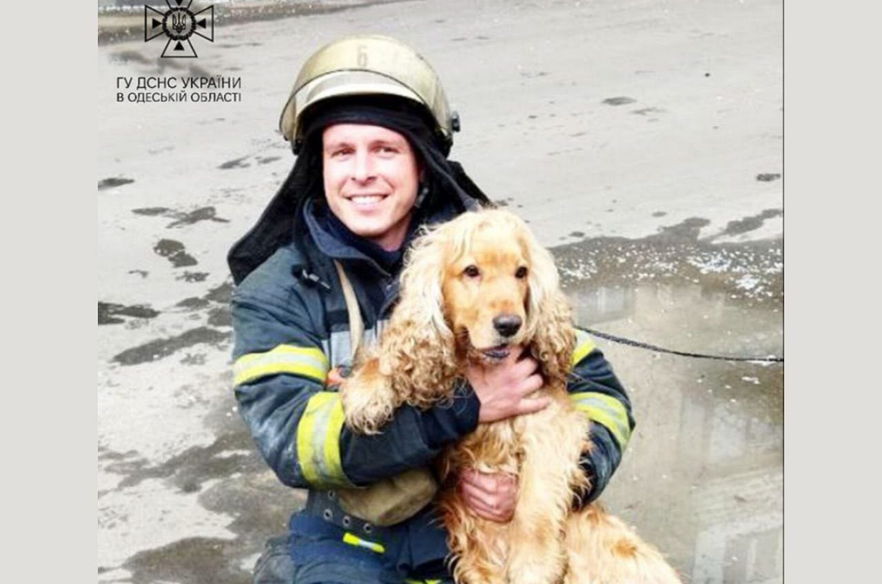 В Одесі врятували спанієля з палаючого будинку (фото) «фото»
