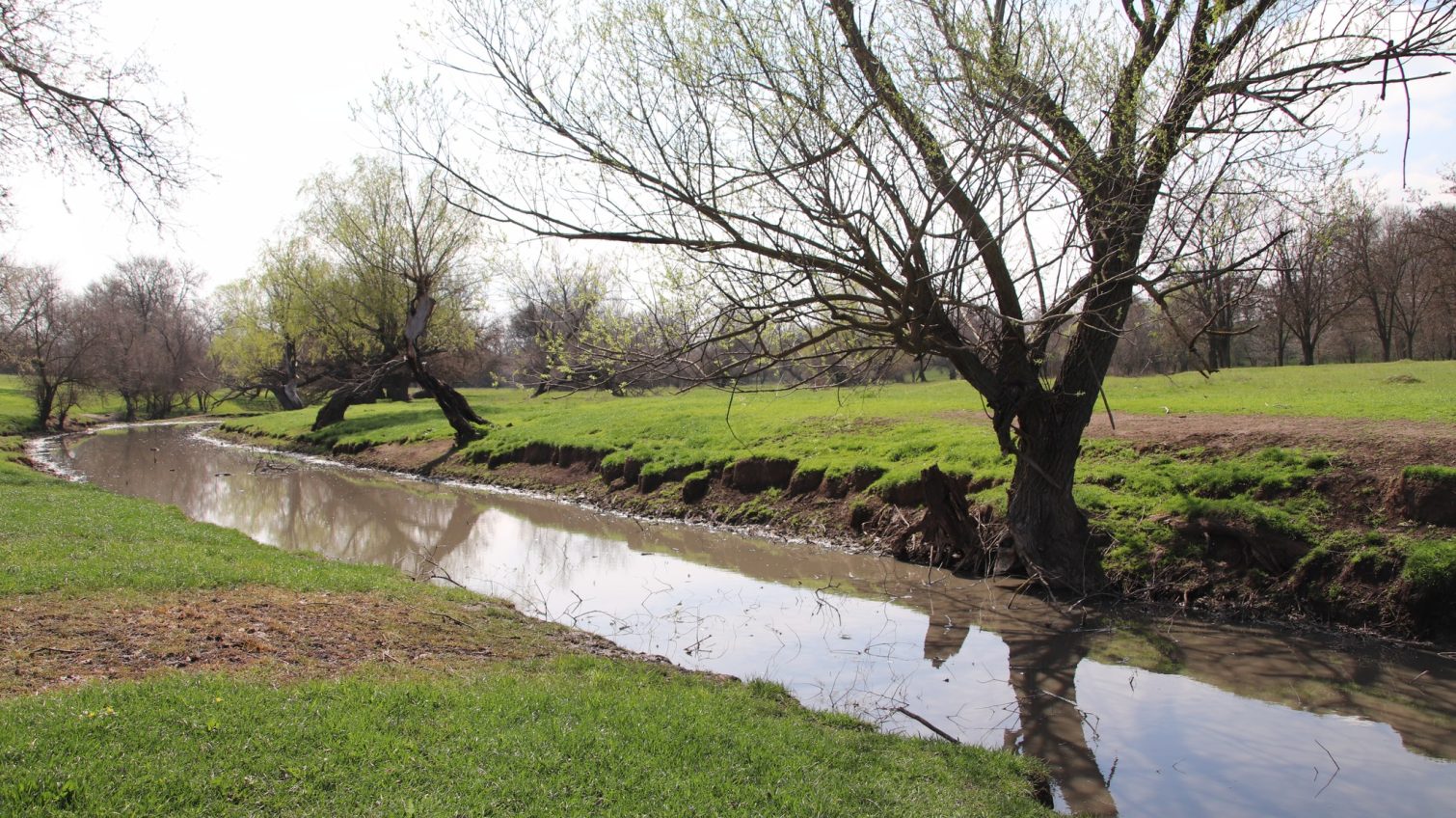 Загроза екологічної катастрофи: на Одещині нечистоти потрапили в озеро (фото) «фото»