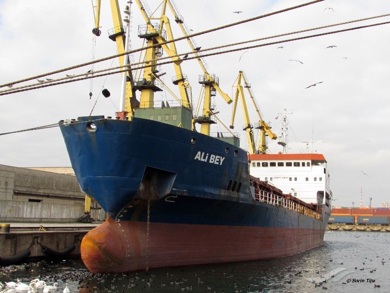 Судно, яке прямувало на Одещину за зерном, затонуло біля берегів Туреччини «фото»