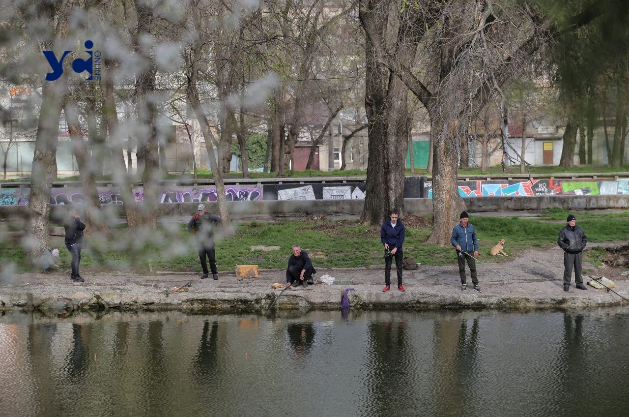 У перерві між дощами. Початок справжньої весни у Дюковському парку Одеси (фото) «фото»