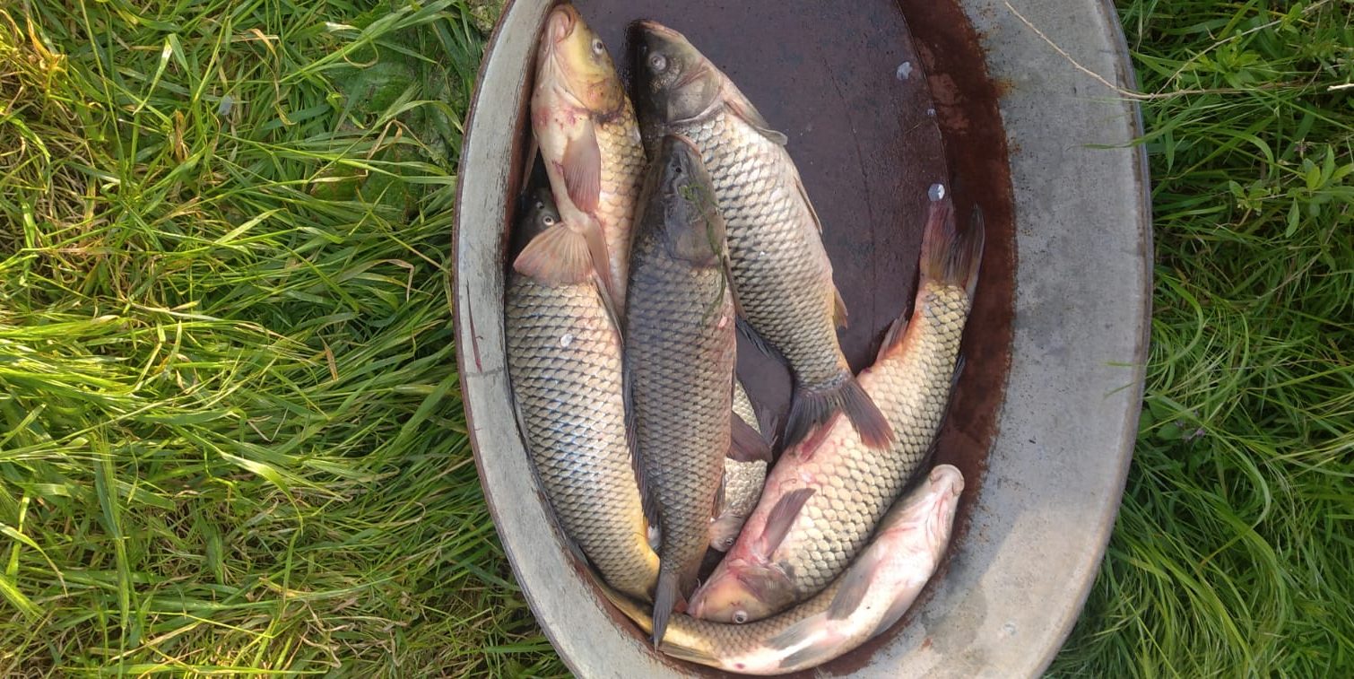 На Одещині браконьєр наловив риби на 27 тисяч (фото) «фото»