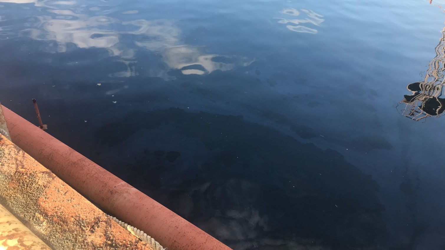 В лимані в Одеській області з судна витекла нафта: забруднена водойма (фото) «фото»
