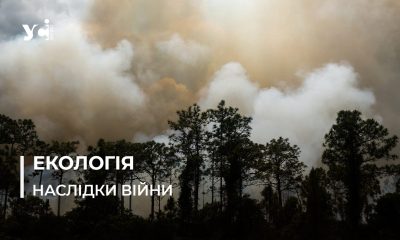 Згорілі ліси Кінбурну та полювання в Асканії-Новій: як росіяни знищують Смарагдову мережу Європи «фото»