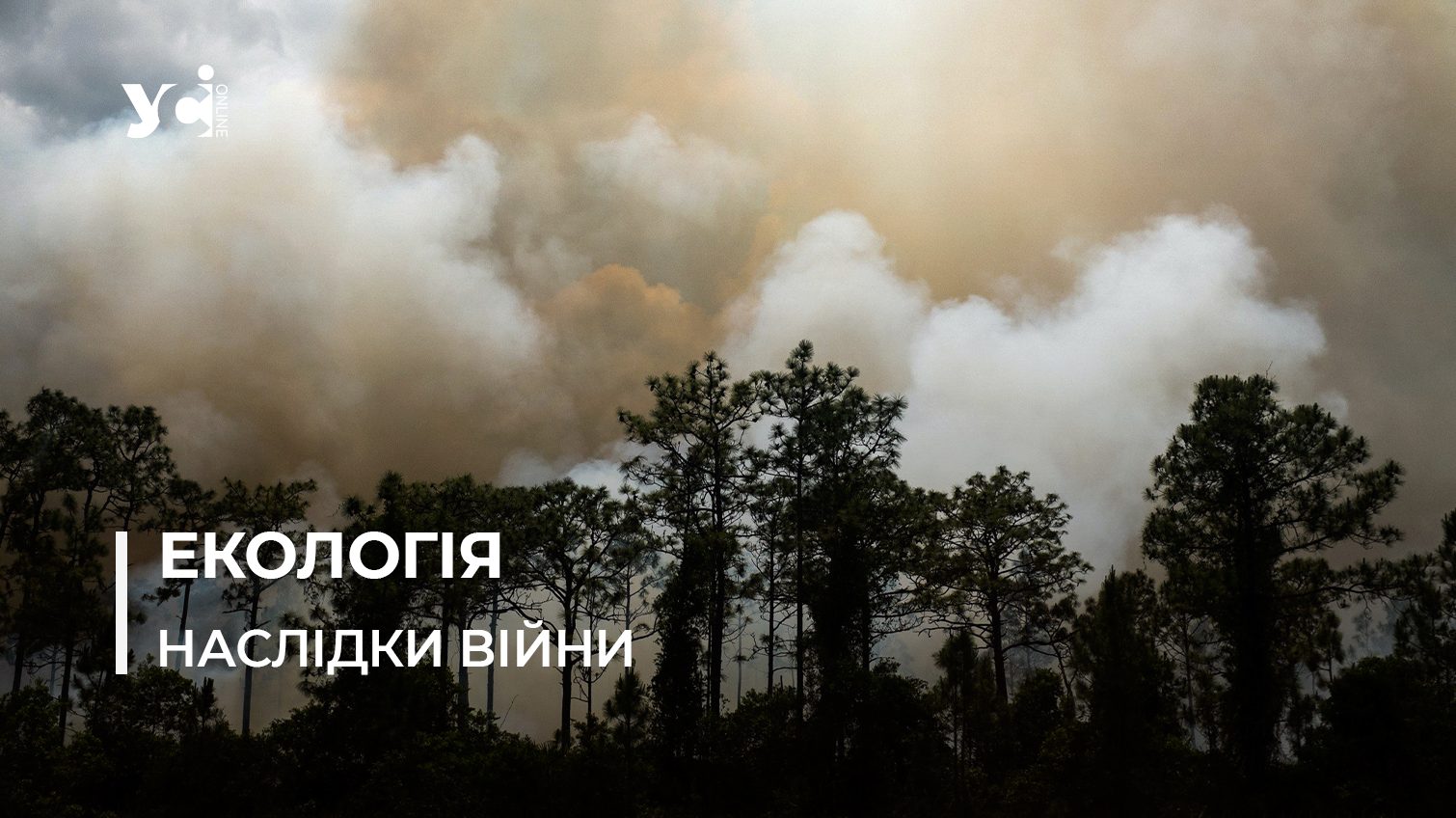 Згорілі ліси Кінбурну та полювання в Асканії-Новій: як росіяни знищують Смарагдову мережу Європи «фото»