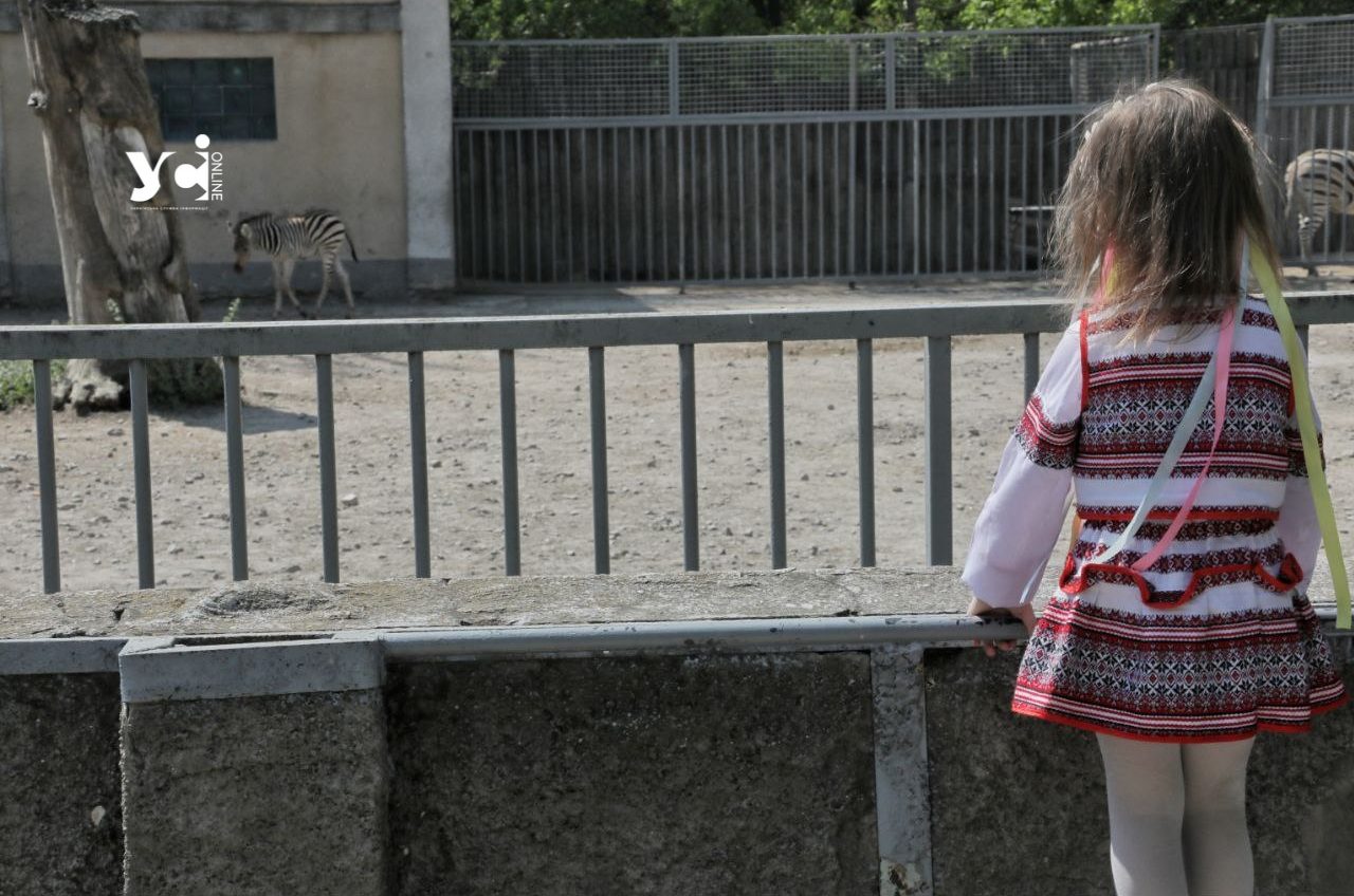 В Одеському зоопарку відзначили День вишиванки (фото) «фото»