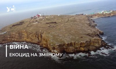 Екосистема острова Зміїний: наслідки російської окупації «фото»