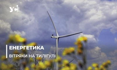 Унікальна вітроелектростанція та «Острови птахів» на Тилігулі: екскурсія від енергетиків (фото, відео) «фото»