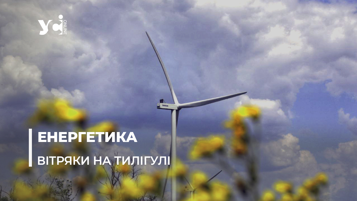 Унікальна вітроелектростанція та «Острови птахів» на Тилігулі: екскурсія від енергетиків (фото, відео) «фото»