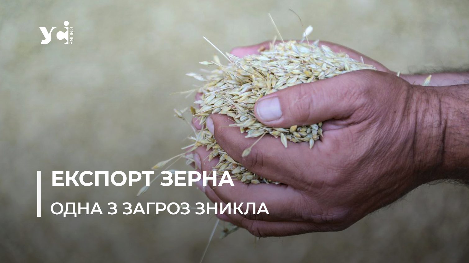 У Молдові вирішили не блокувати імпорт українського зерна «фото»