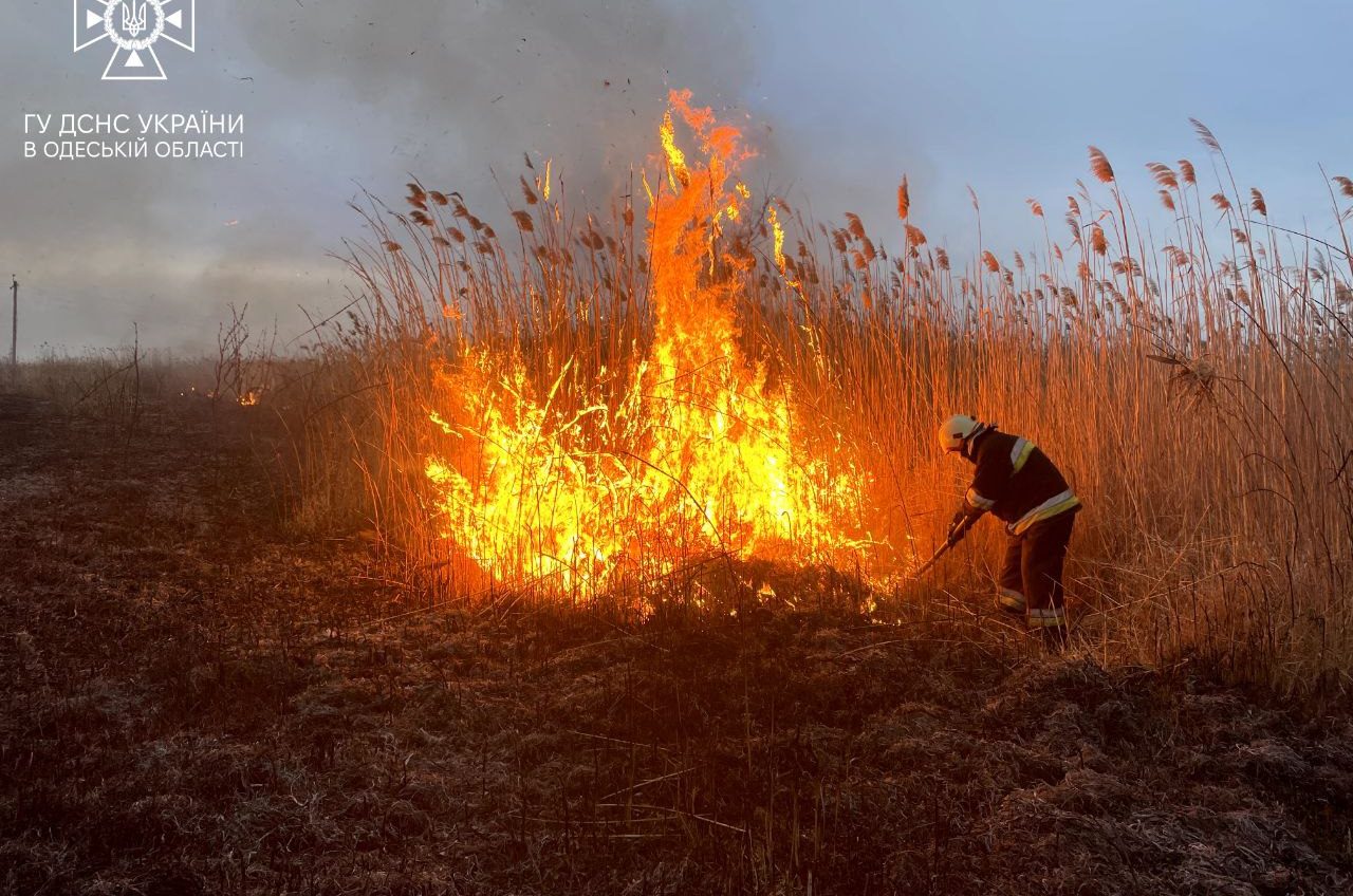 Штраф до 6 тисяч: на Одещині знайшли паліїв сухої трави «фото»