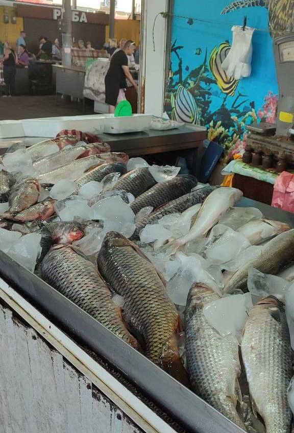 На ринках Одеси проводять «рейди на рибу» (фото) «фото»