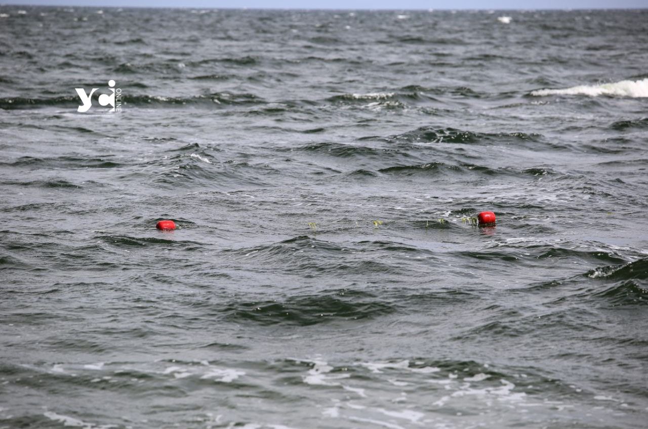 В Одесі у морі виявили ротавірус та сальмонелу «фото»