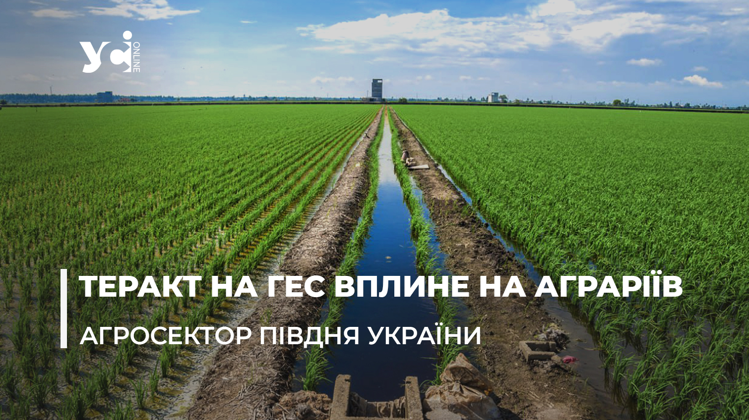 Теракт на Каховській ГЕС вплине на аграріїв усього Півдня України, – експерт «фото»