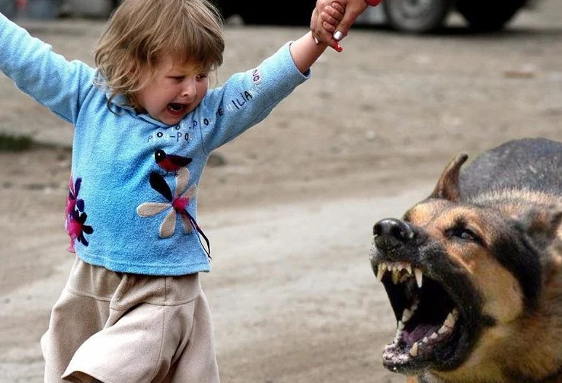 На Одещині маленьких дітей покусали собаки (аудіо) «фото»