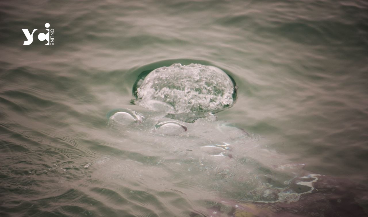 На Одещині потонули двоє рибалок «фото»