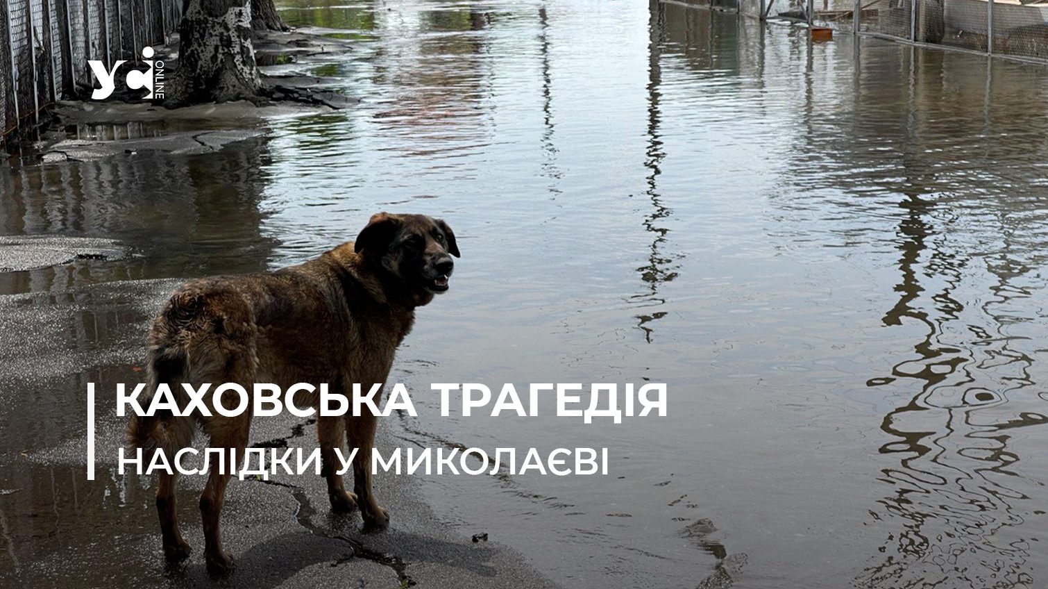 Підтоплений Миколаїв: під водою залишаються яхт-клуб та деякі райони (відео) «фото»