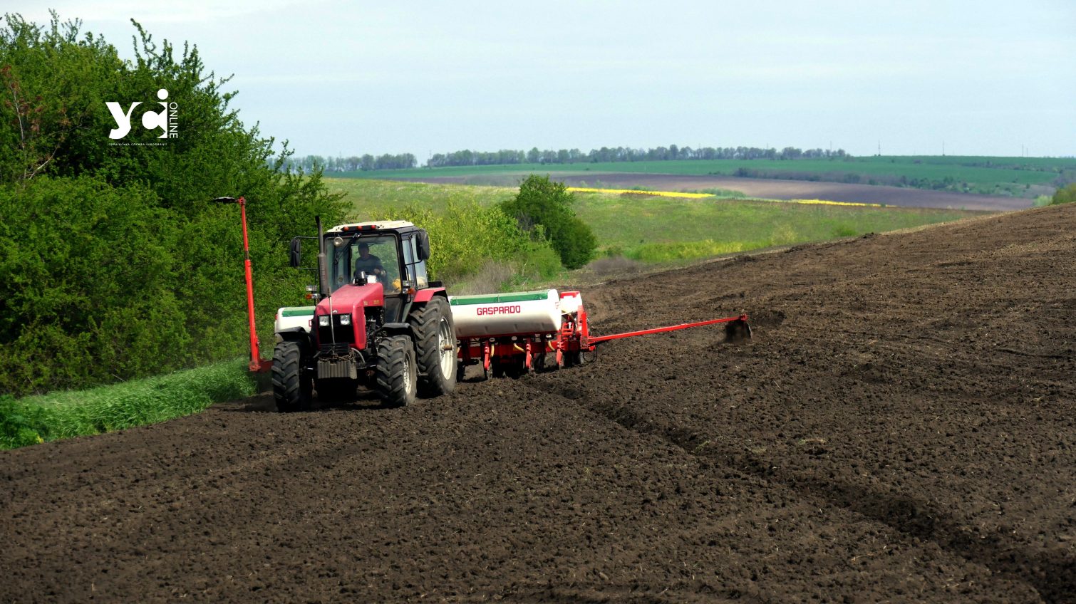В новий аграрний сезон Україна увійде із середніми довоєнними запасами зерна «фото»