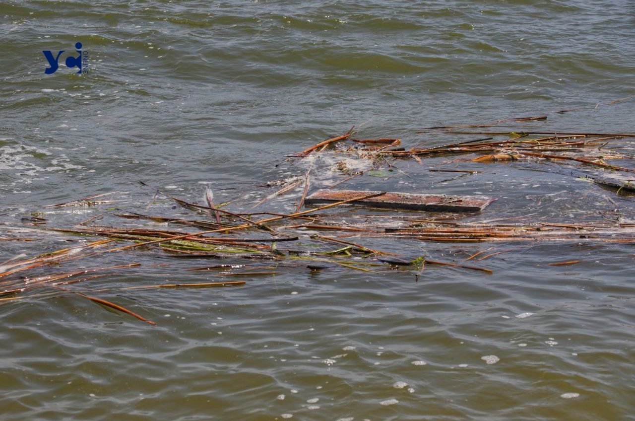 Нова перевірка якості води в Одесі: що змінилося «фото»