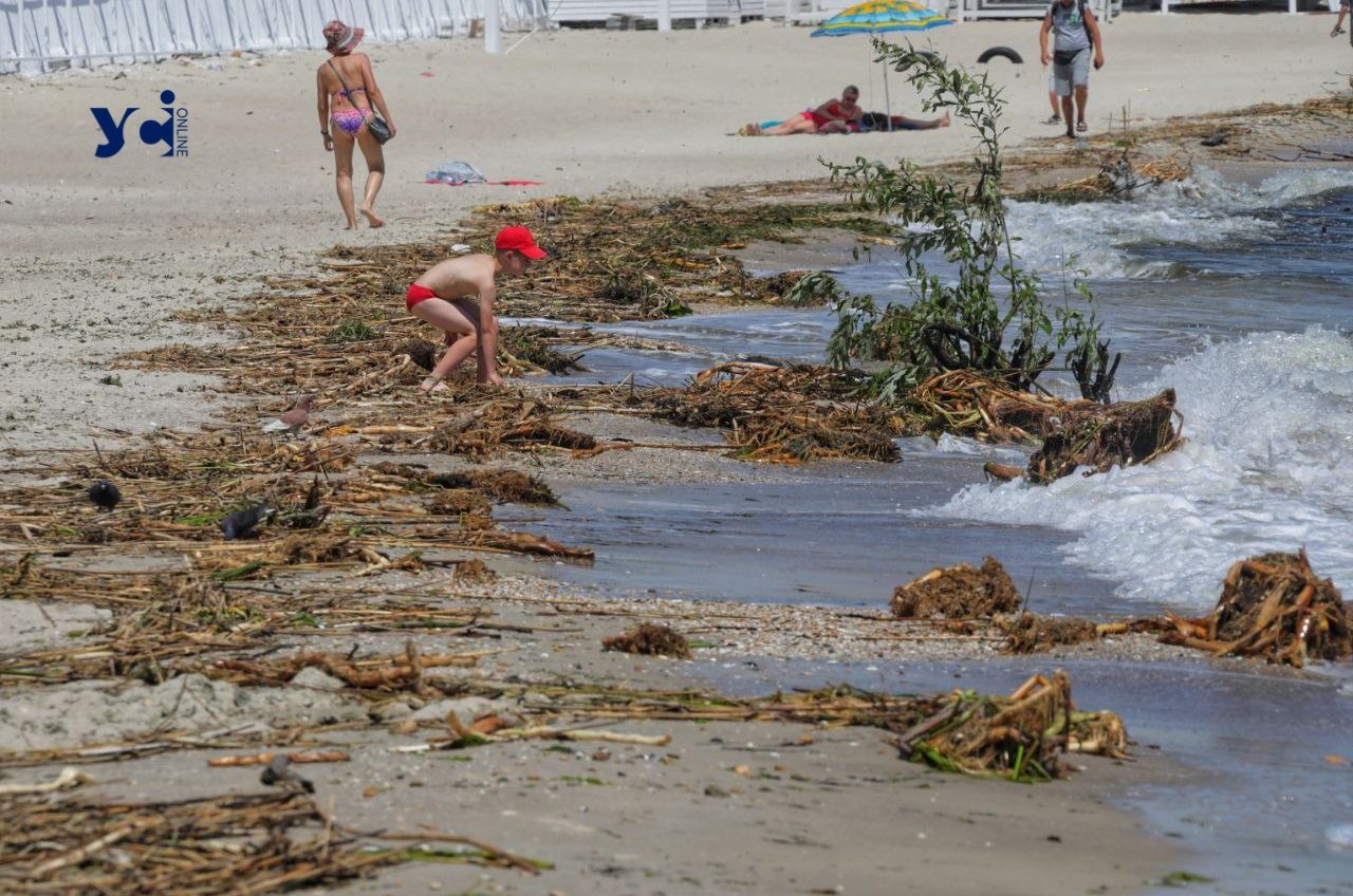 Одеситів закликають не очищати море самостійно: можливі вибухи «фото»