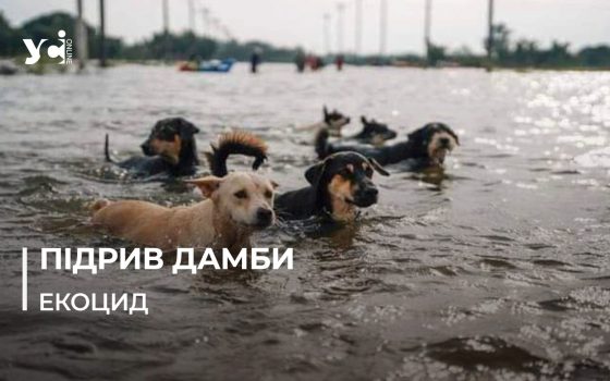 Підрив дамби ГЕС викликав масштабну екологічну катастрофу: люди рятують тварин (фото, відео) «фото»