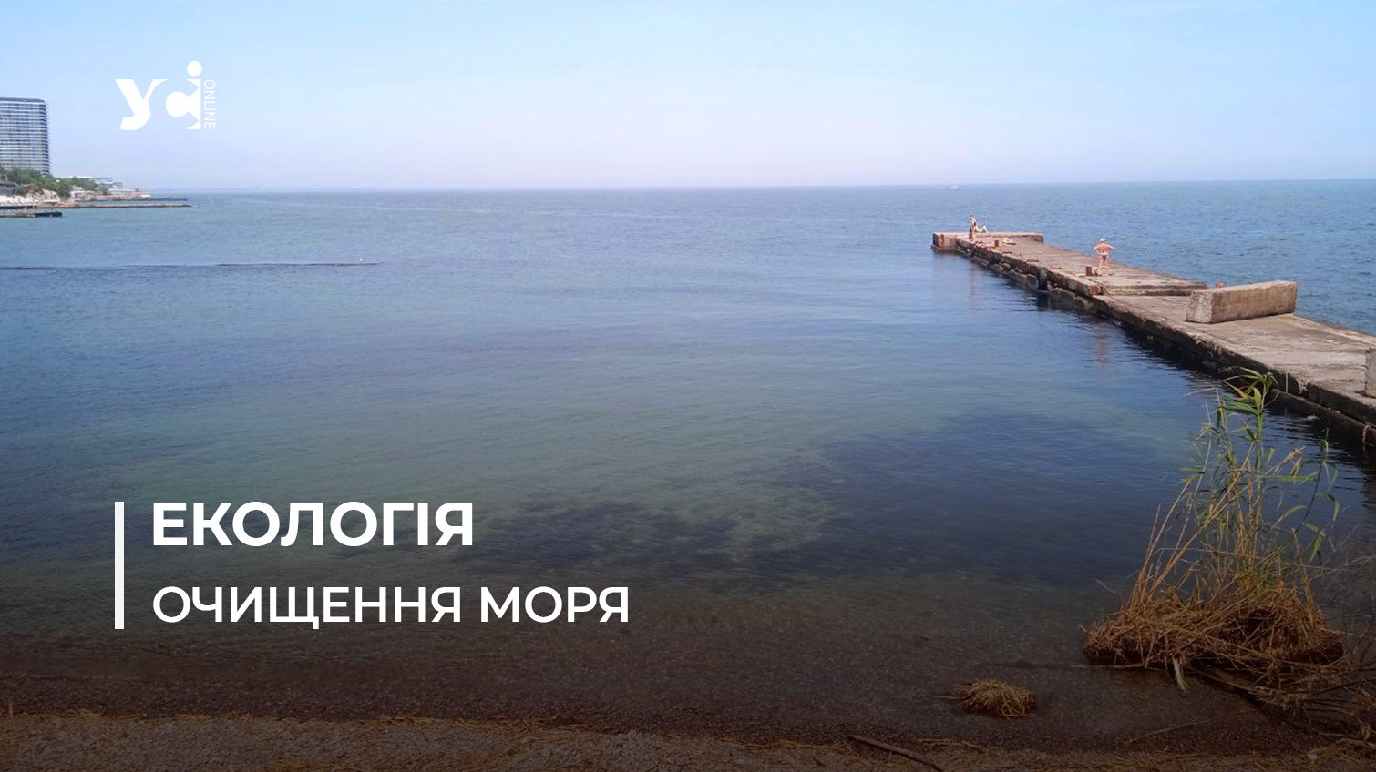 Вперше після катастрофи вода в одеській акваторії відповідає нормам (аудіо) «фото»