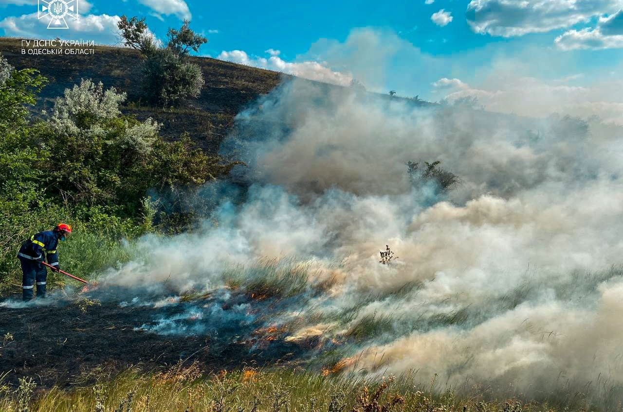 Одеські рятувальники показали, як борються зі степовими пожежами (фото) «фото»