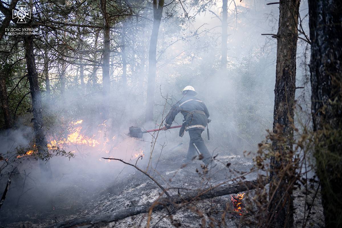 Під Одесою 5 годин тушили масштабну пожежу в лісі (фото) «фото»