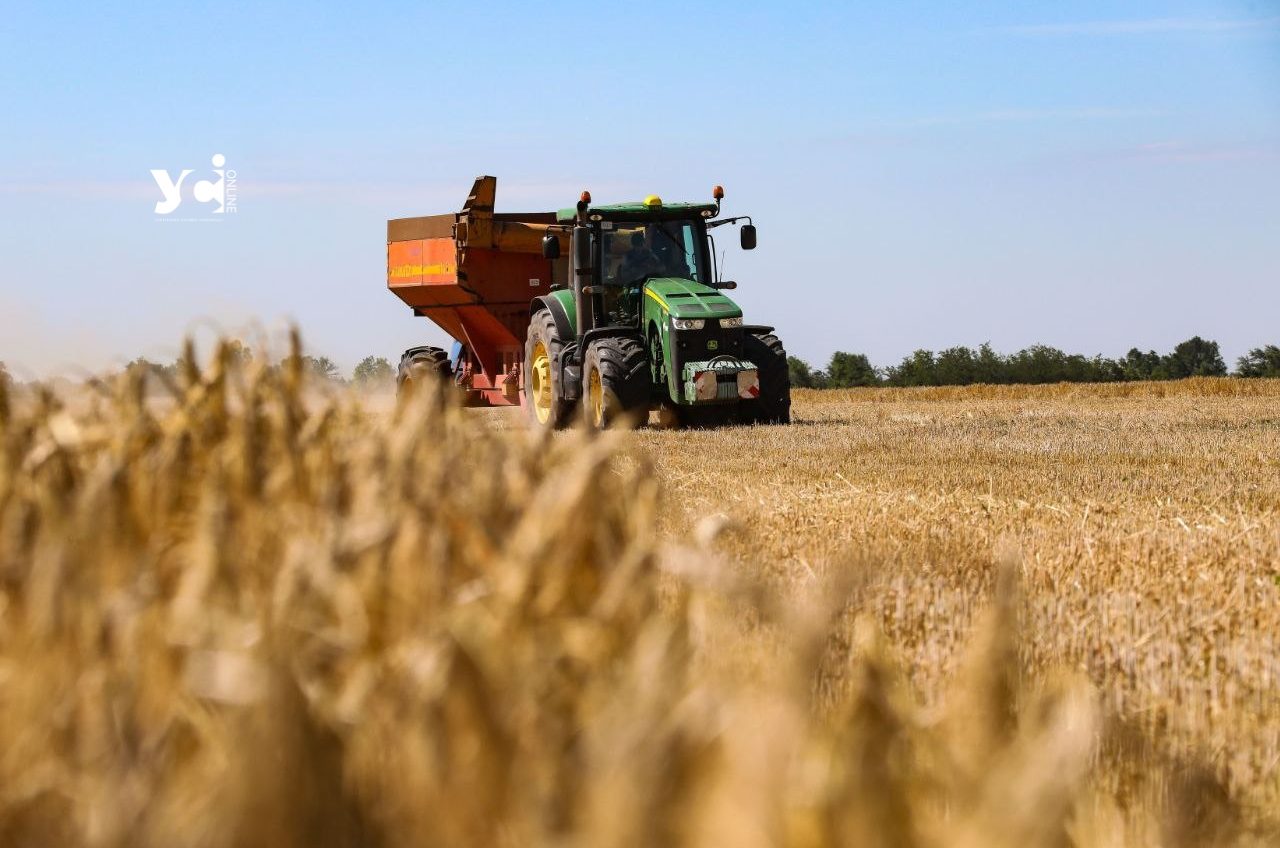 Аграрії Одещини вже збирають озимі культури «фото»