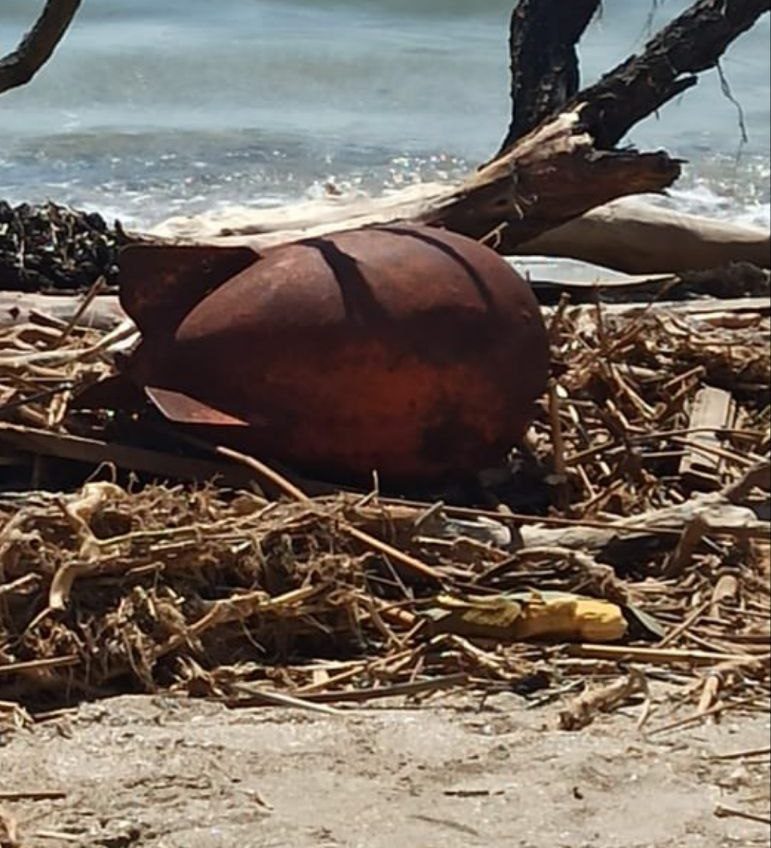 На одеському пляжі знайшли небезпечні боєприпаси (фото) «фото»