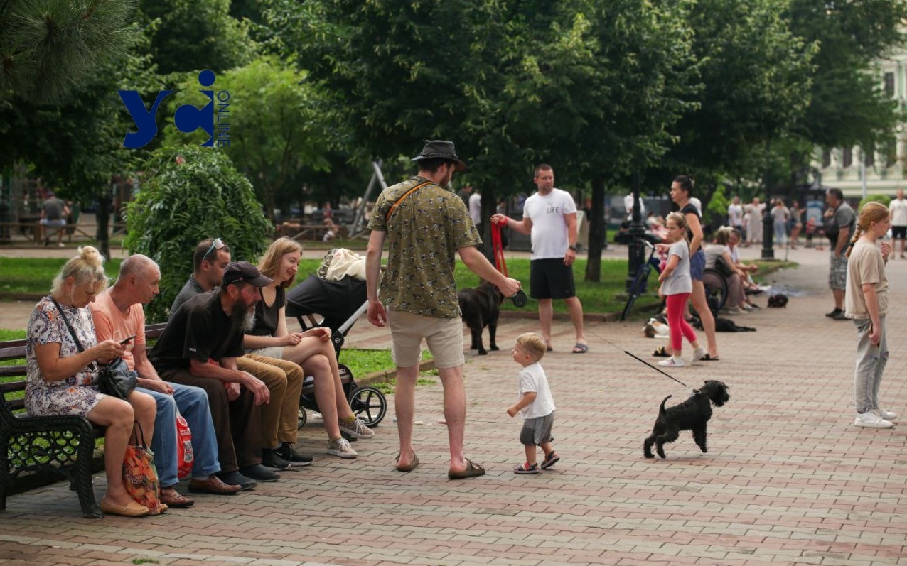 В Одесі буде ясна погода, без дощу usionline.com В Одесі буде ясна погода, без дощу «фото»