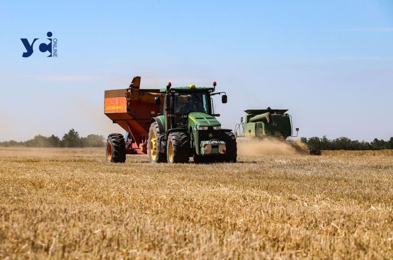 Одеські аграрії отримали 2,7 млрд кредитування «фото»