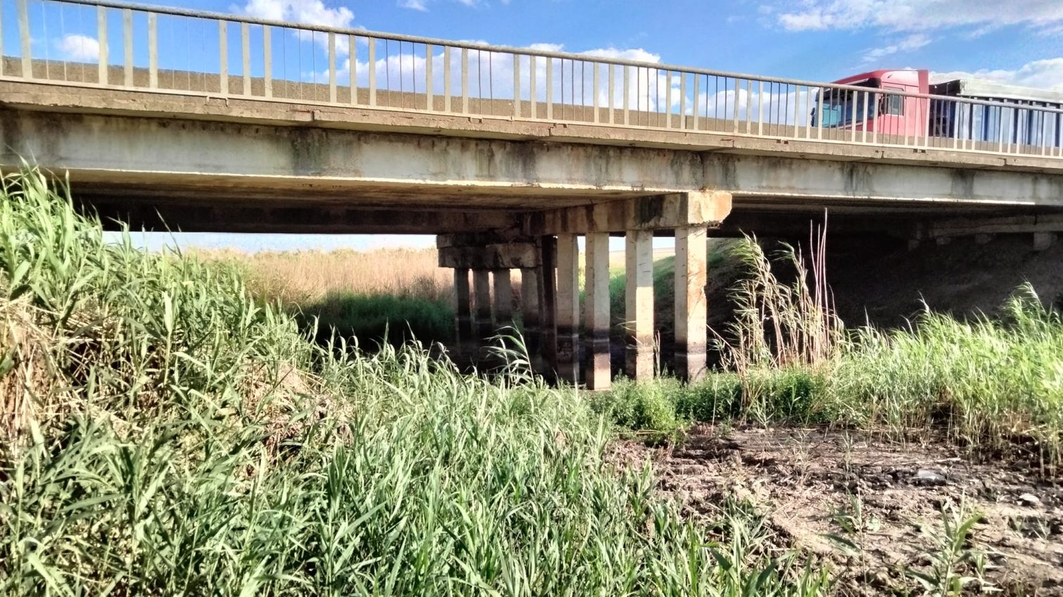 На Одещині невідомі знищили річку (фото) «фото»