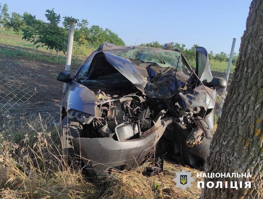 У Березівському районі водій влетів у дерево та загинув на місці (фото) «фото»