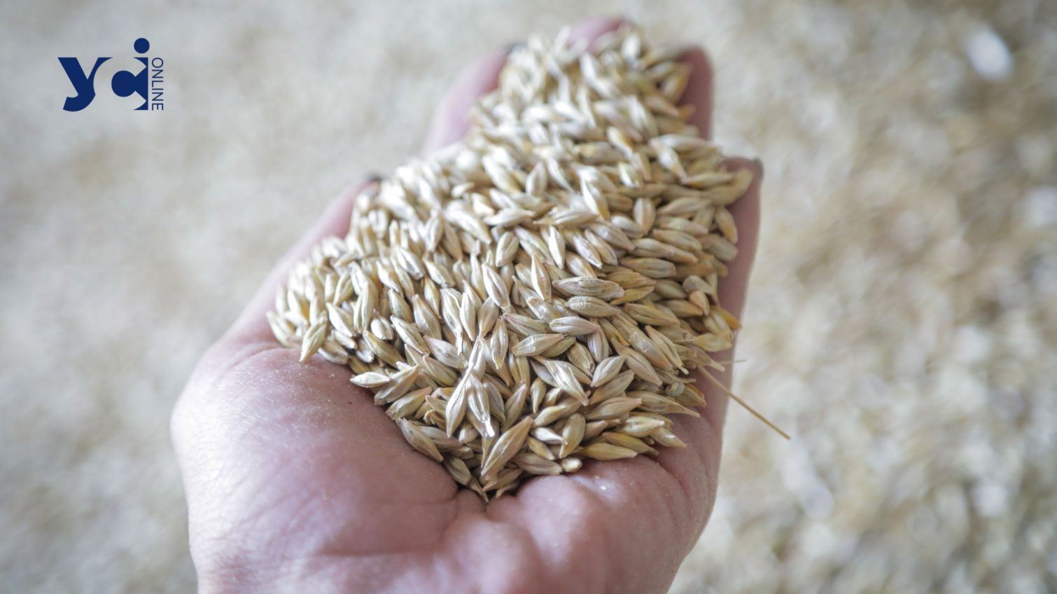 Удари по зерносховищах. Знищеним зерном можна було прогодувати 66 мільйонів людей – Деніз Браун «фото»