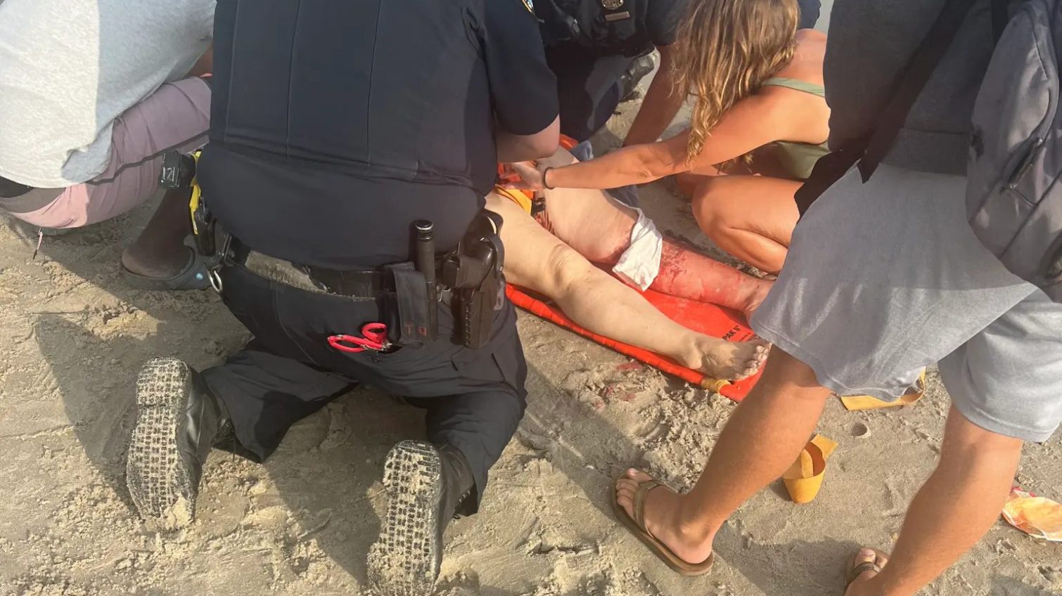 На одеситку на американському пляжі напала акула (фото) «фото»