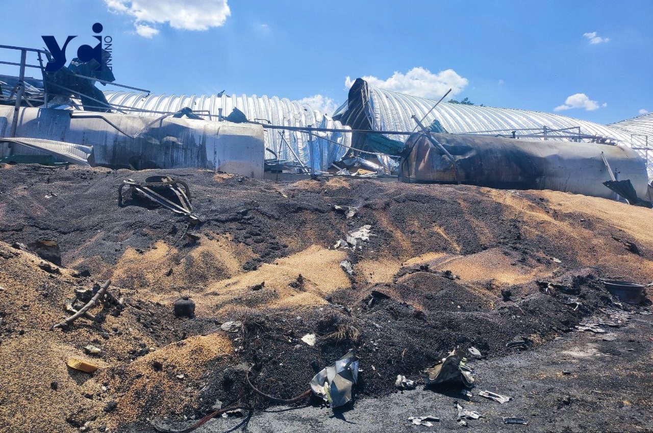 Удари рф по портах Одещини: лише у липні окупанти знищили 180 тис. тонн зерна «фото»