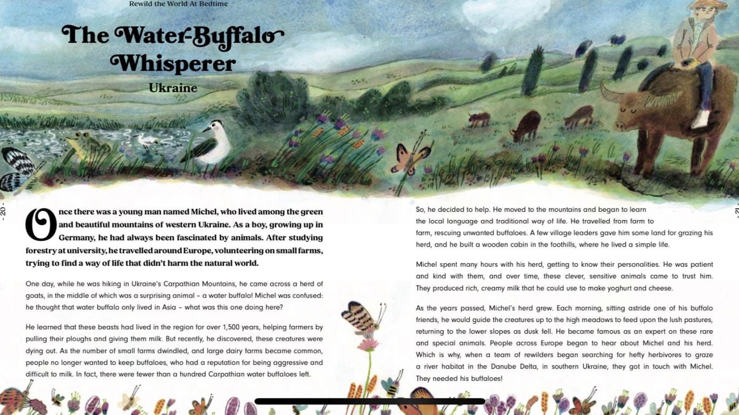 Лондонське видавництво випустило казку про буйволів із дельти Дунаю (фото) «фото»