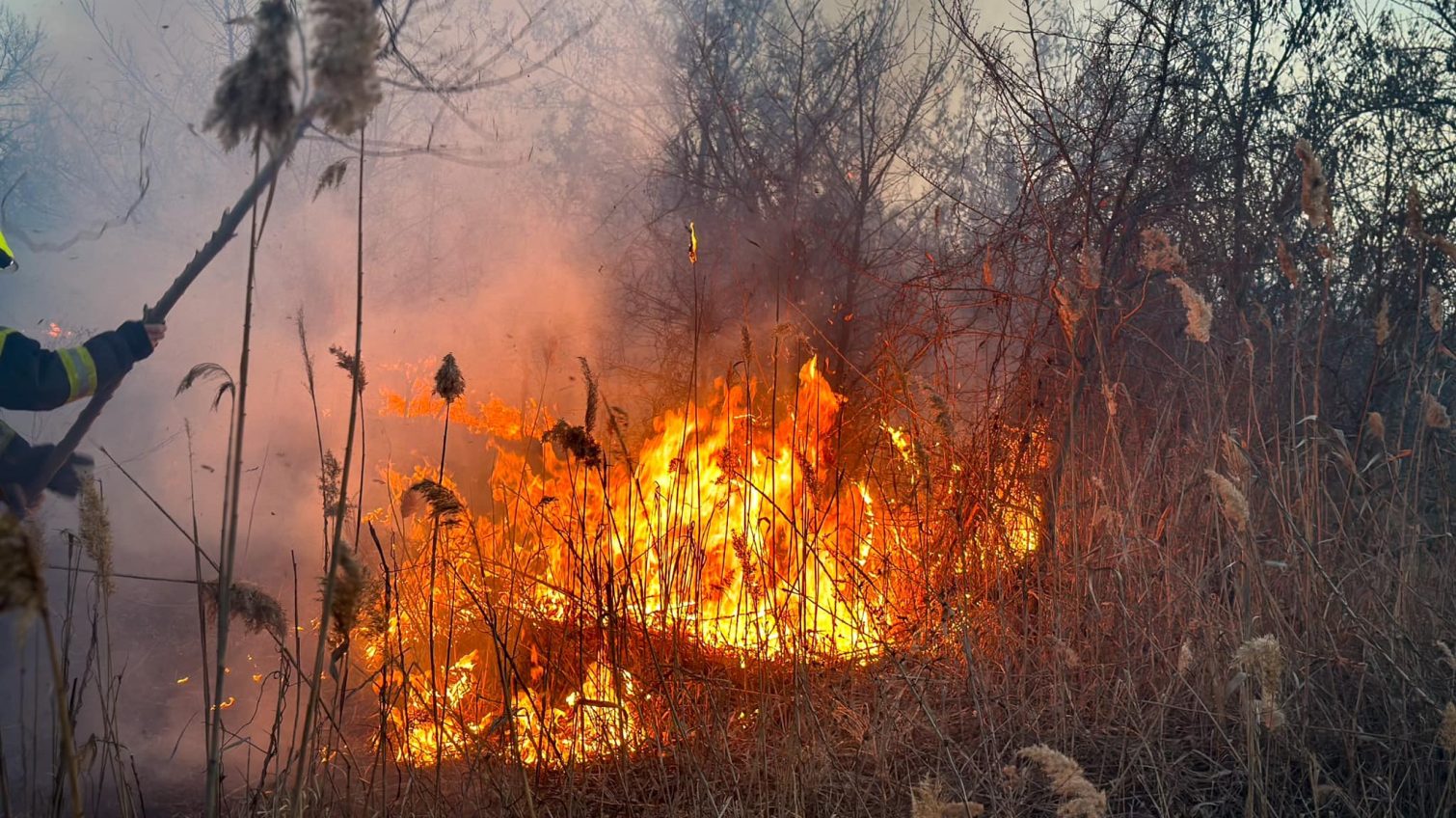 Впродовж доби на Одещині гасили пожежі на 26 га: у більшості – провина людей (фото) «фото»