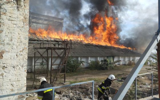 У Білгороді-Дністровському сталася велика пожежа на складі біля елеватора (фото) «фото»