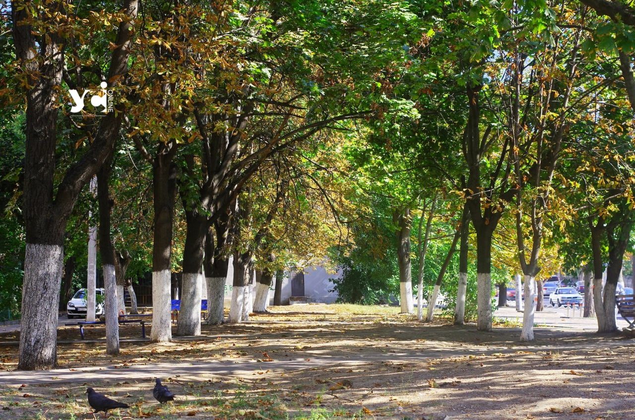 В Одесі знов буде погода як влітку usionline.com В Одесі знов буде погода як влітку «фото»