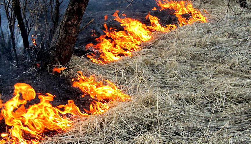 На Одещині пенсіонер намагався самотужки погасити степову пожежу і отримав 50% опіків тіла «фото»
