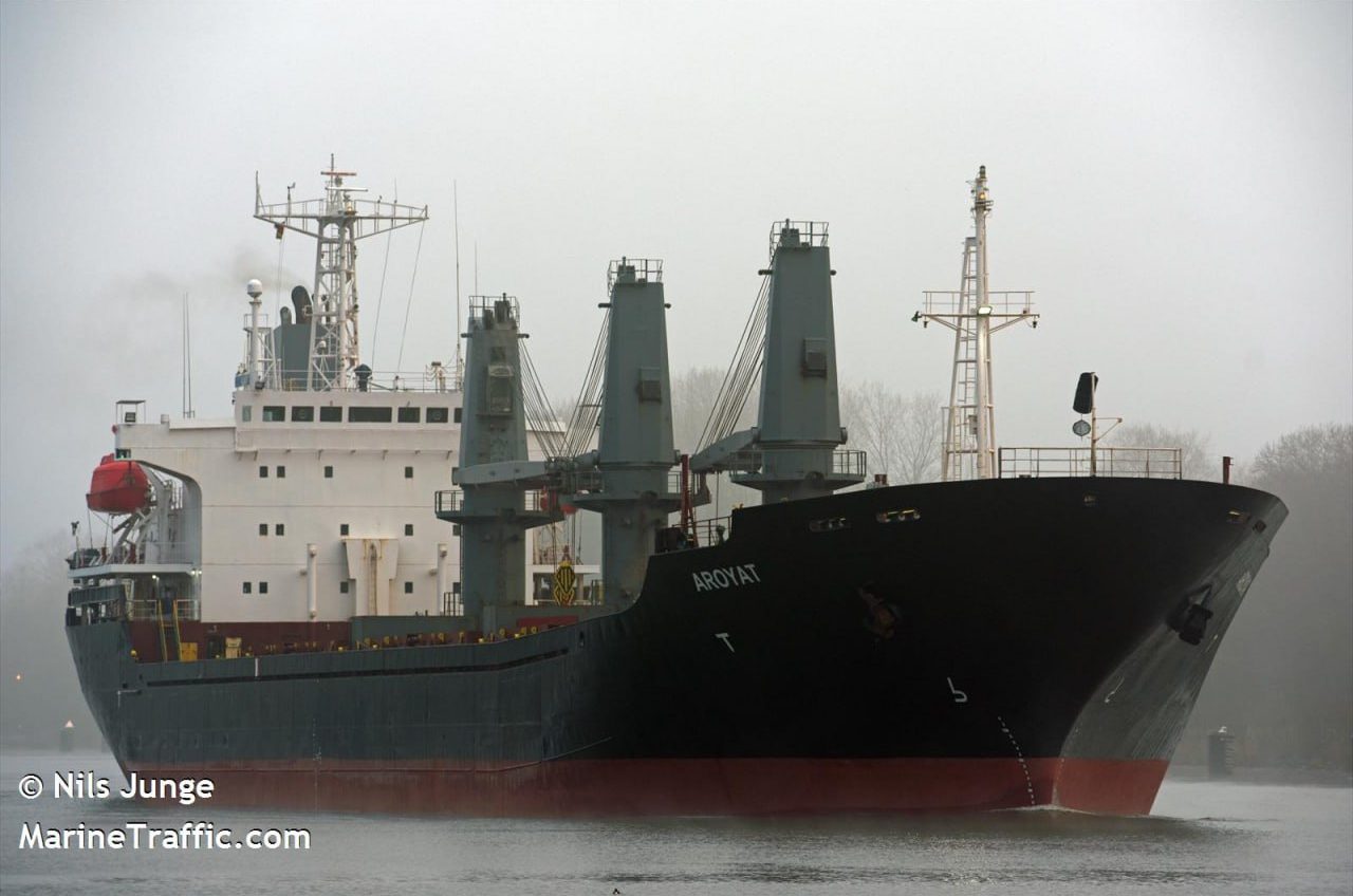 Зерновий коридор без росії: два торгових судна зайшли до порту Чорноморська за день «фото»