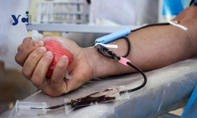 Врятувати життя: в Одесі терміново потрібні донори крові для наших захисників  «фото»