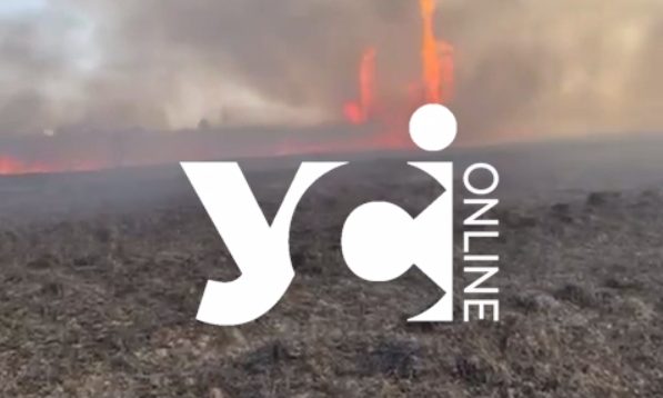 Пожежа під Одесою: палають поля зрощення (відео) «фото»