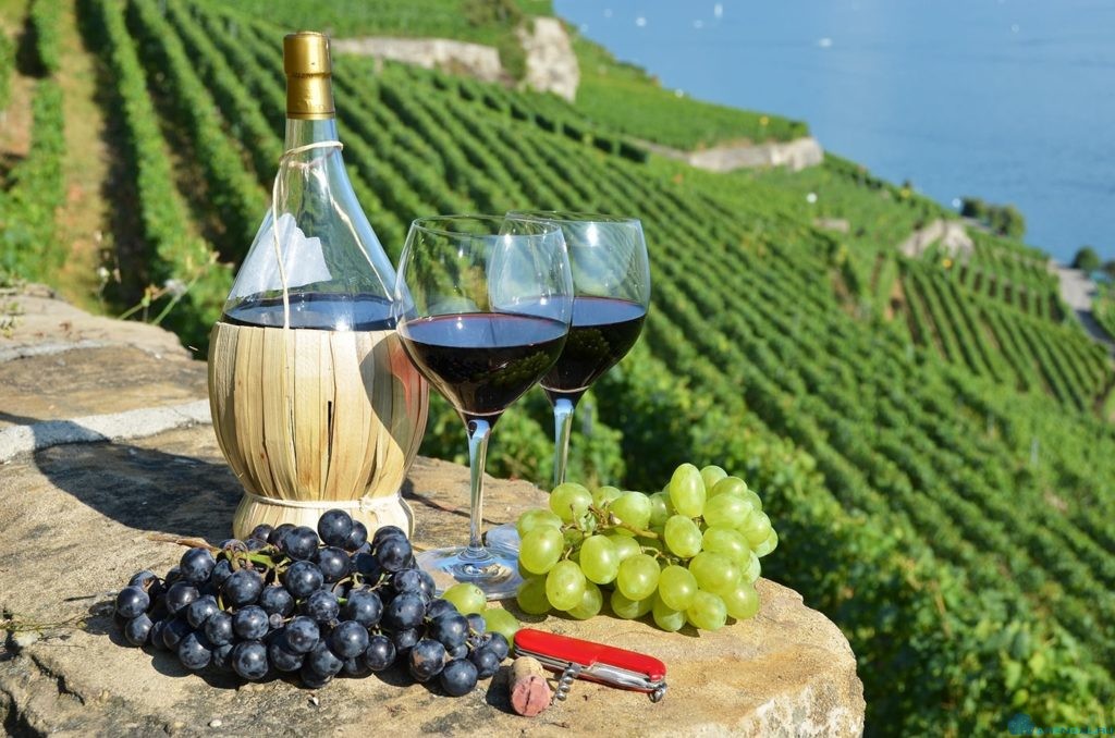 Як у Європі: для Одещини готують систему захисту вина за географічною назвою «фото»